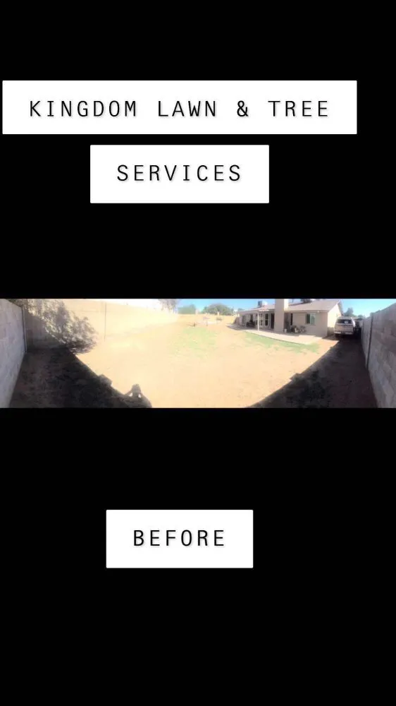 Expert lawn mowing service in Mesa, AZ - Kingdom Lawn & Tree Services