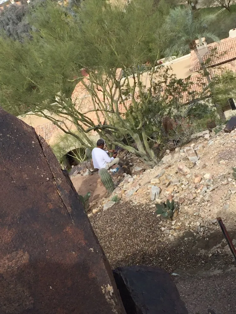 Reliable lawn care service in Mesa, AZ - Kingdom Lawn & Tree Services