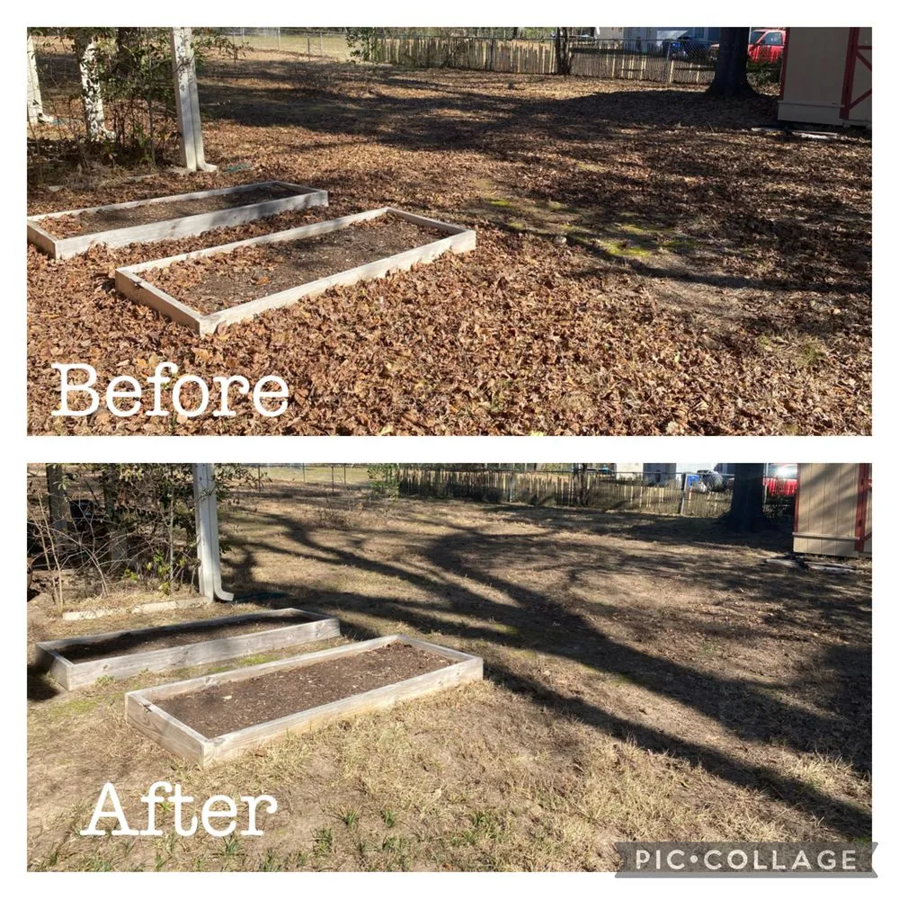 Affordable landscape design in Gerogetown, TX by Kingdom Lawn Care