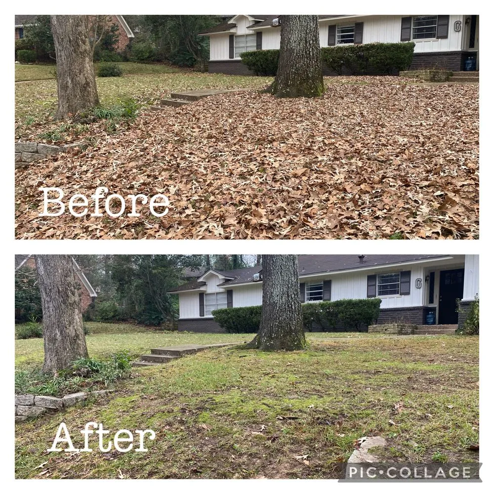 Local garden landscaping for beautiful yards across Gerogetown, TX - Kingdom Lawn Care