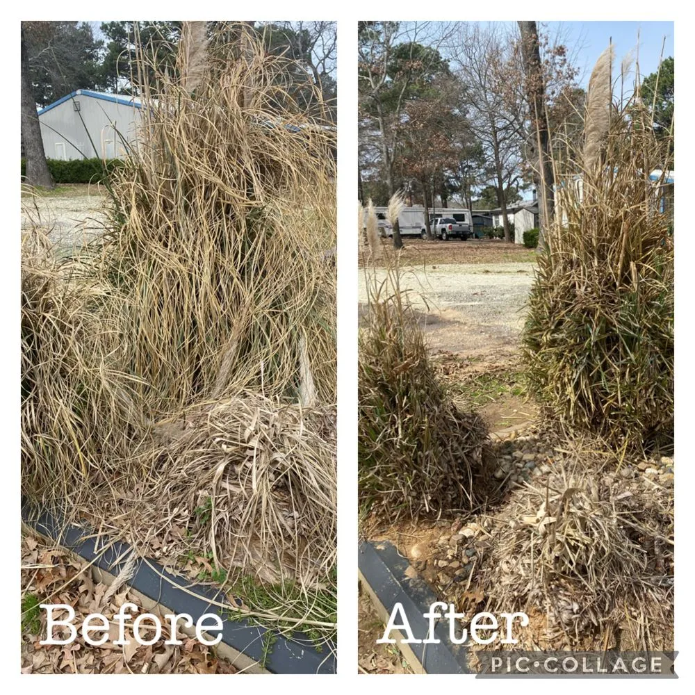 Affordable landscaping services in Gerogetown, TX by Kingdom Lawn Care