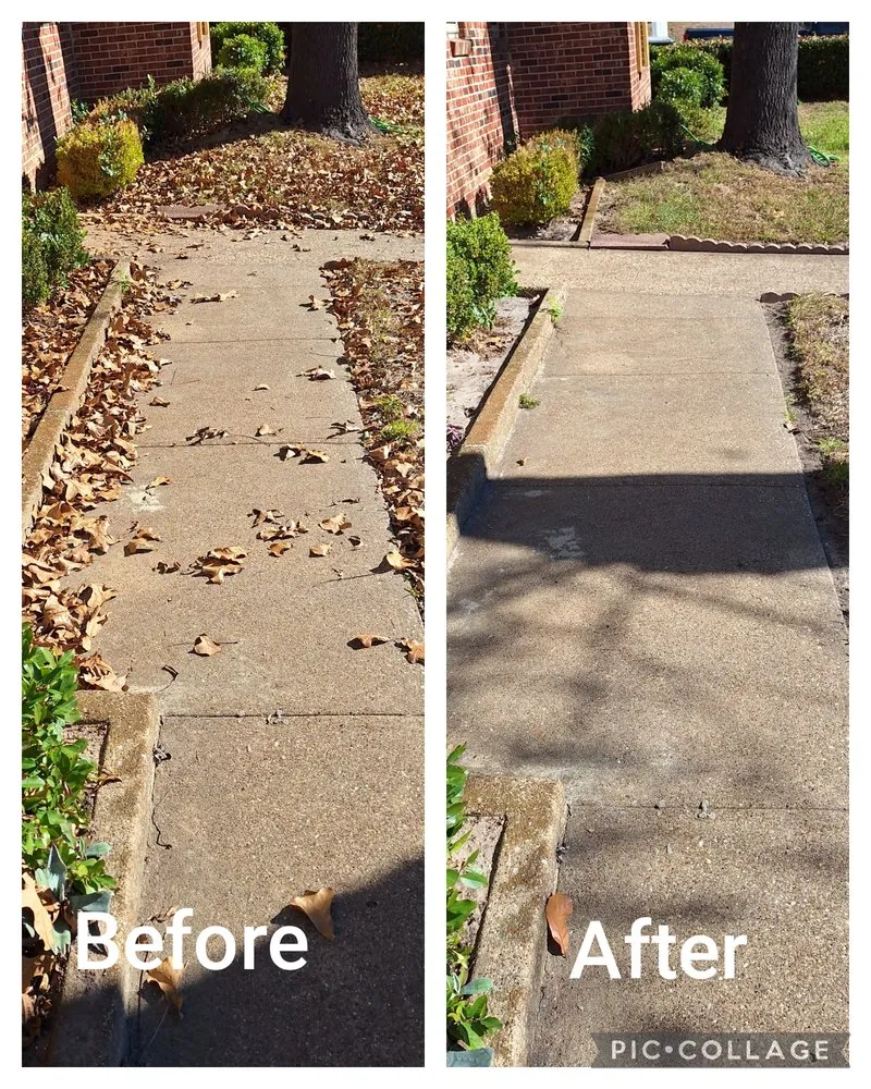 Local yard cleanup service in Gerogetown, TX - Kingdom Lawn Care
