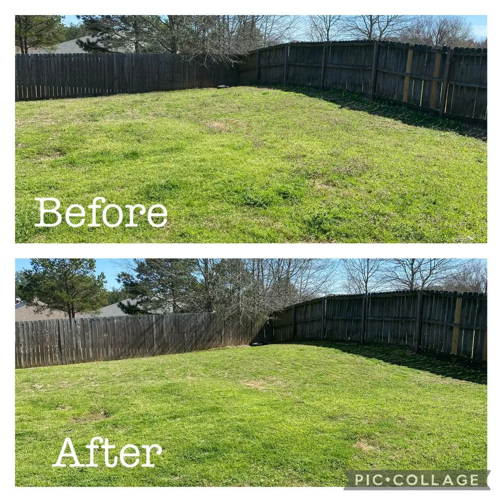 Expert residential landscaping for year-round maintenance in Gerogetown, TX by Kingdom Lawn Care