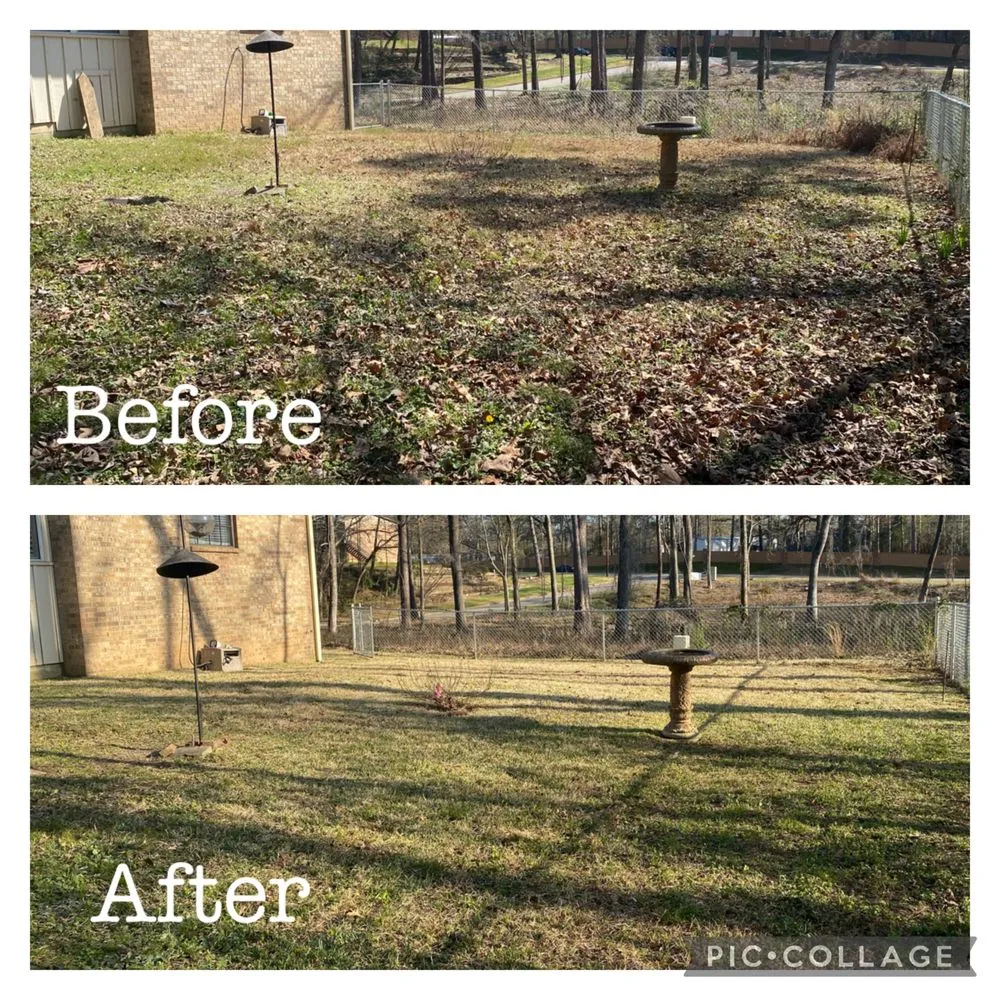 Professional landscaping services in Gerogetown, TX by Kingdom Lawn Care
