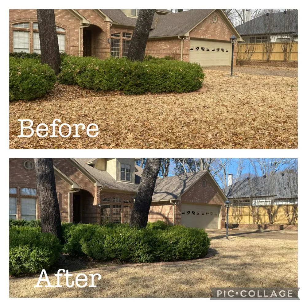 Local landscape design in Gerogetown, TX - Kingdom Lawn Care