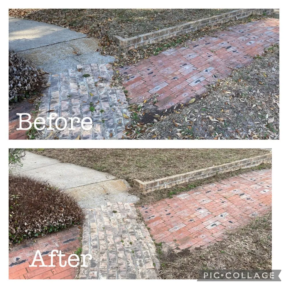 Trusted yard cleanup service for year-round maintenance across Gerogetown, TX - Kingdom Lawn Care
