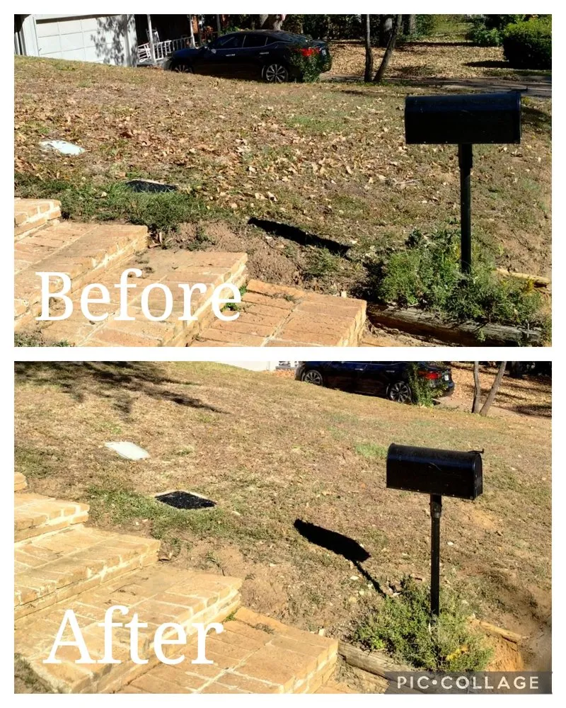 Reliable outdoor landscaping in Gerogetown, TX by Kingdom Lawn Care