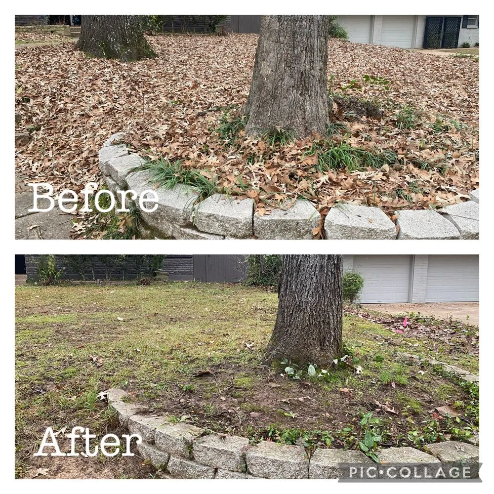 Expert landscape installation for beautiful yards in Gerogetown, TX by Kingdom Lawn Care