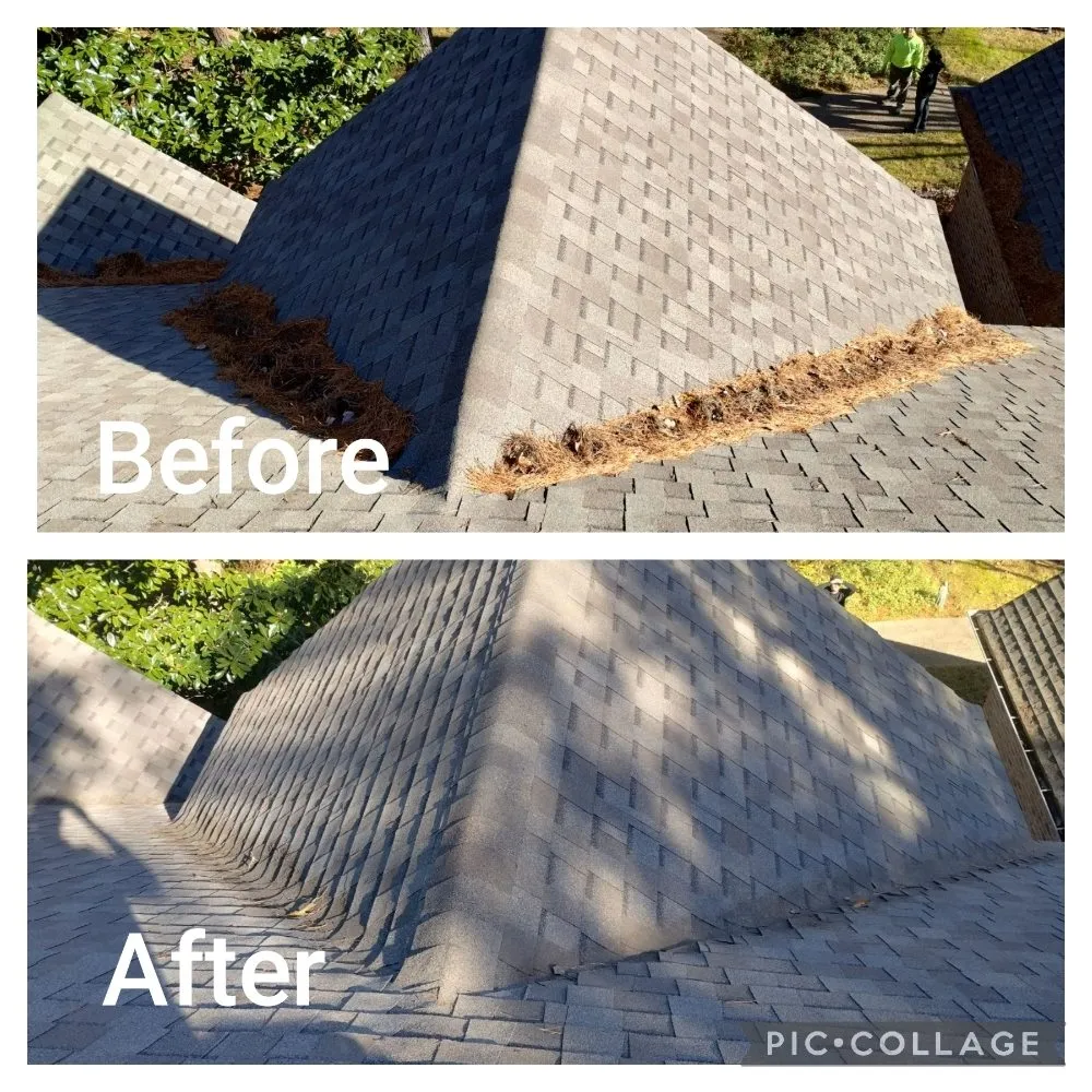 Affordable landscape installation in Gerogetown, TX by Kingdom Lawn Care