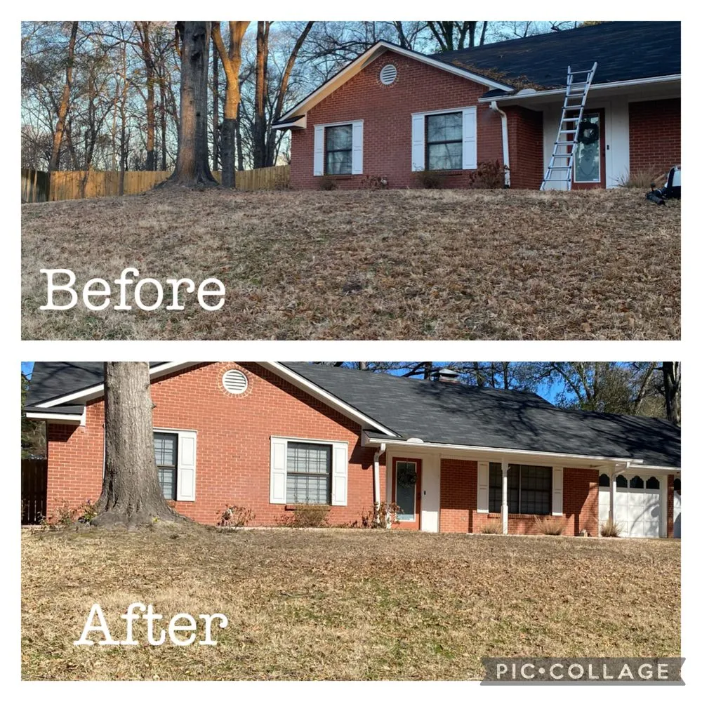 Local outdoor landscaping experts serving Gerogetown, TX - Kingdom Lawn Care