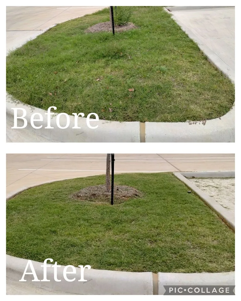 Expert landscape installation experts serving Gerogetown, TX - Kingdom Lawn Care