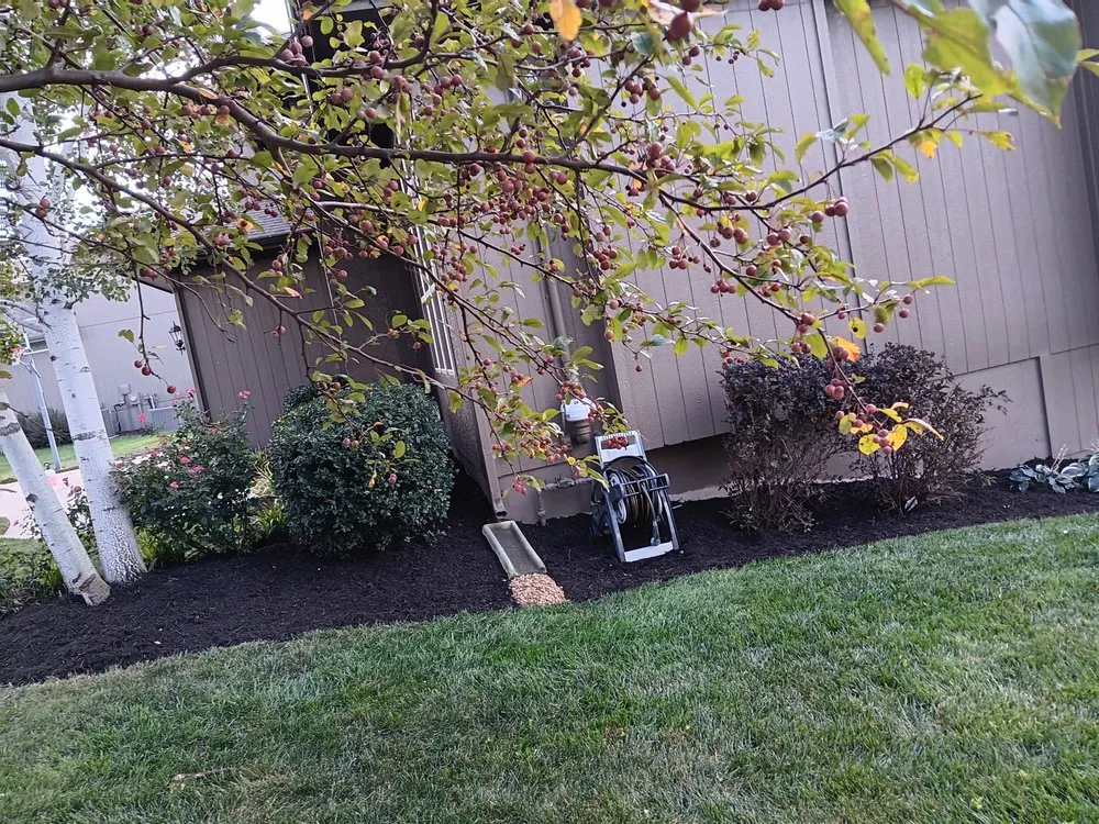 Affordable yard maintenance in Kansas City, MO by Kingdom Lawn Care