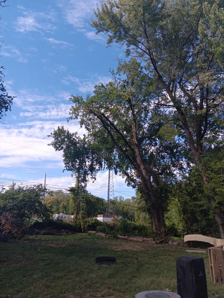 Custom landscape design with custom design in Kansas City, MO by Kingdom Lawn Care