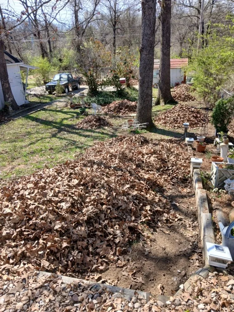 Local lawn care service in McAlester, OK by Kingdom Lawn Garden And Tree Services