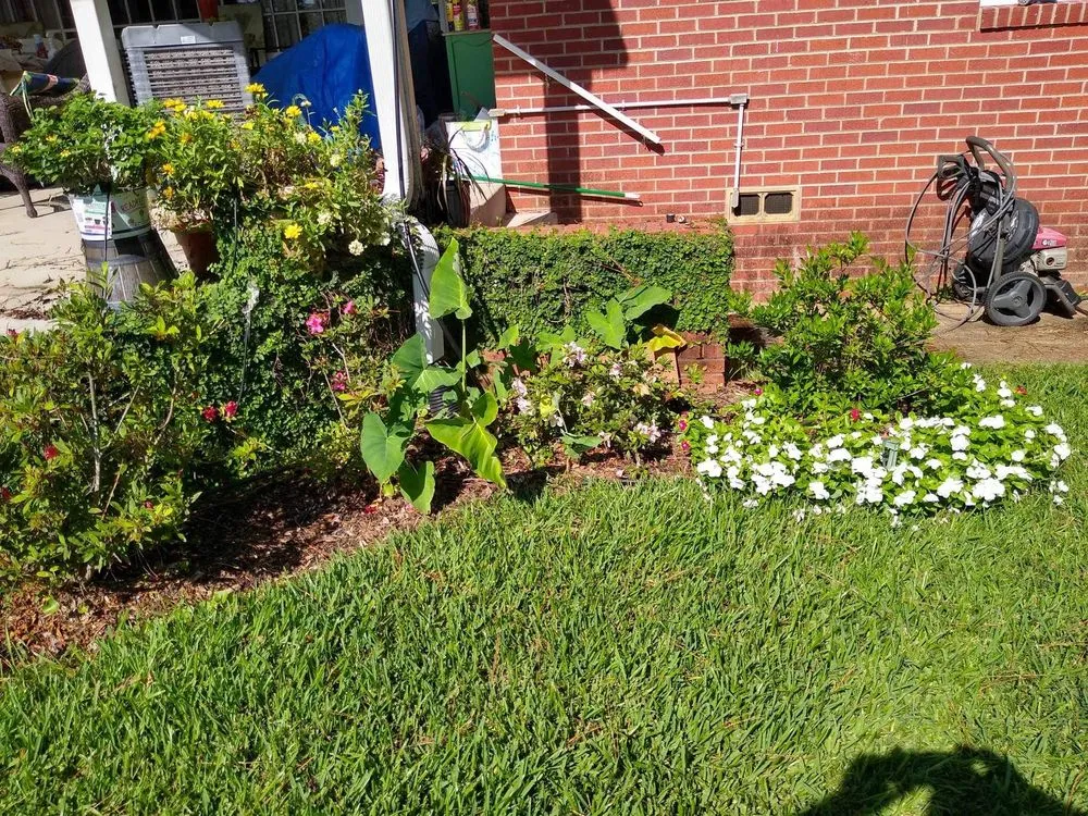 Reliable lawn mowing service for residential properties in Nacogdoches, TX by Kingdom Lawncare