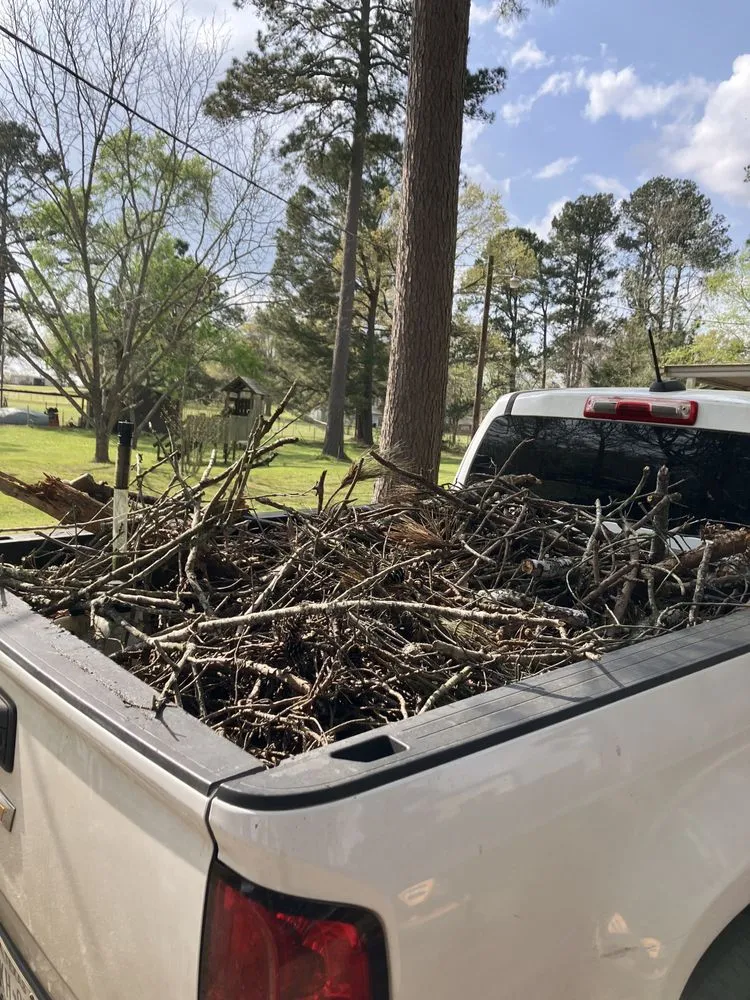 Trusted landscape design for year-round maintenance across Nacogdoches, TX - Kingdom Lawncare