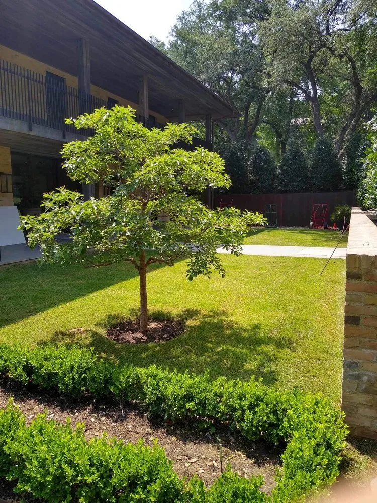 Professional lawn care service experts serving Nacogdoches, TX - Kingdom Lawncare