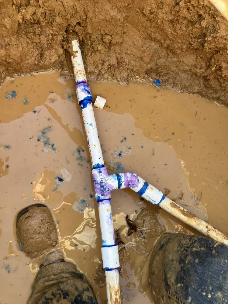 Professional yard maintenance experts serving Nacogdoches, TX - Kingdom Lawncare