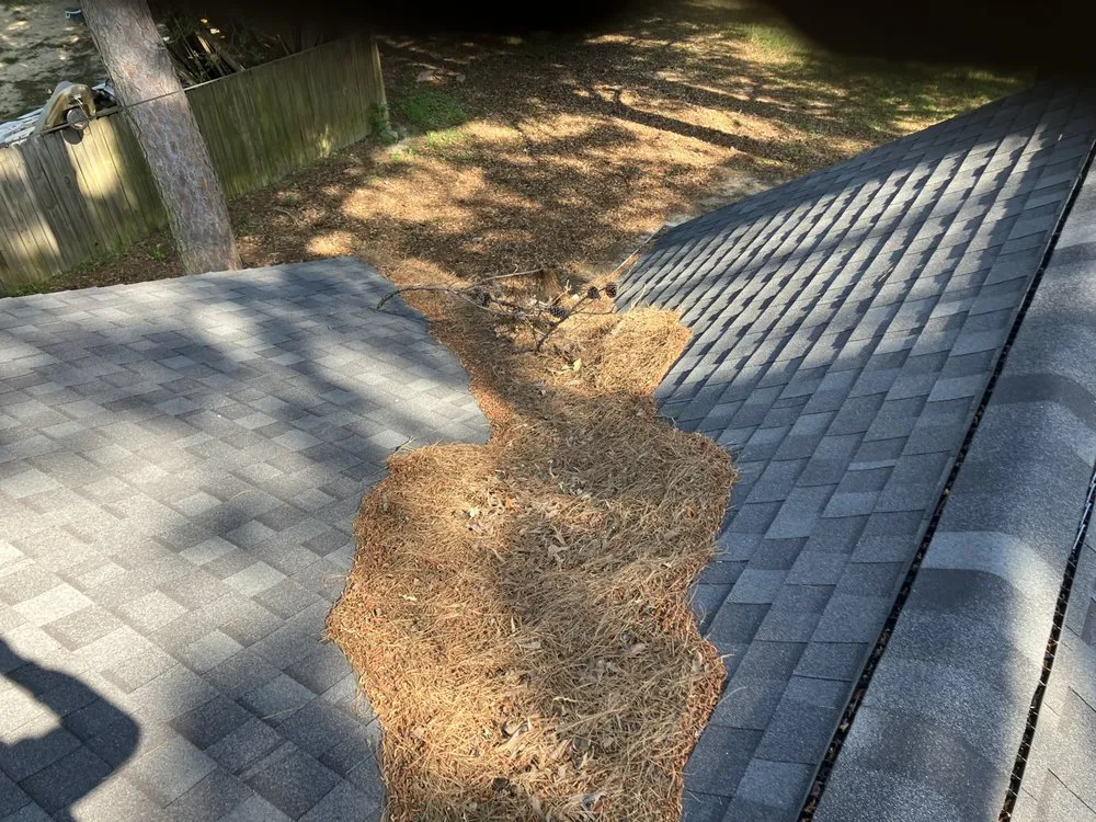 Local landscaping services in Nacogdoches, TX - Kingdom Lawncare