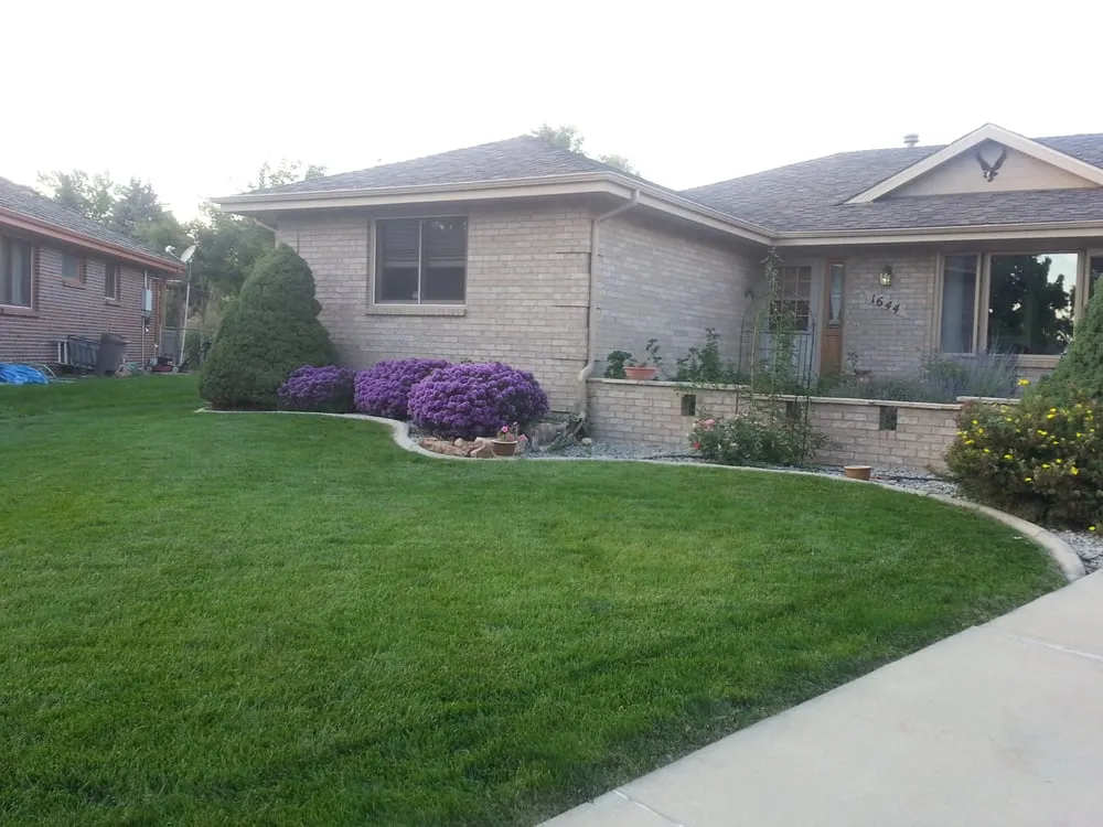 Top-rated landscape installation experts serving Longmont, CO - Kingdom Mowing