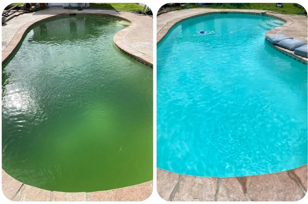 Affordable yard maintenance in Corpus Christi, TX by Kingdom Pool and Lawn