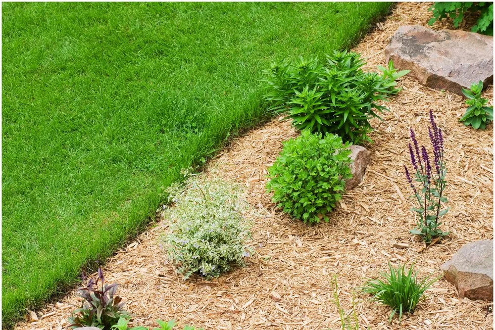 Professional lawn care service experts serving Unionville, NC - Kingdom Pro Landscapes