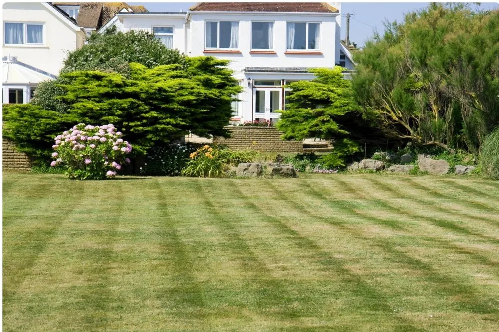 Affordable outdoor landscaping for year-round maintenance in Unionville, NC by Kingdom Pro Landscapes