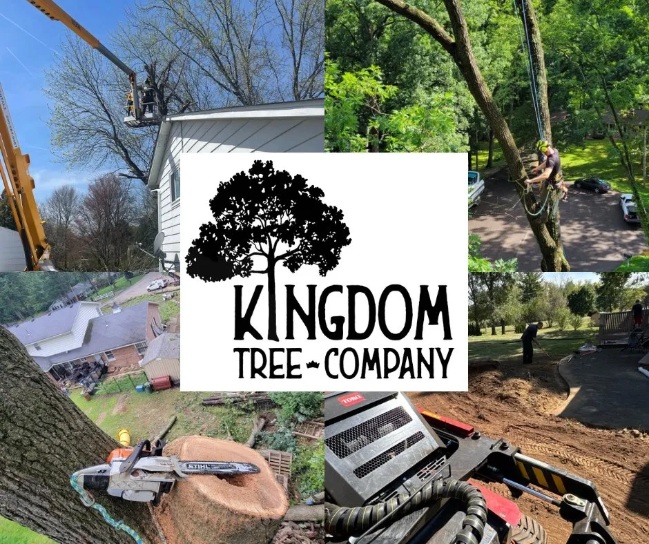 Reliable lawn care service for residential properties in North Canton, OH by Kingdom Tree Removal and Land Clearing