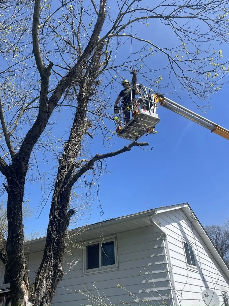 Professional outdoor landscaping in North Canton, OH by Kingdom Tree Removal and Land Clearing