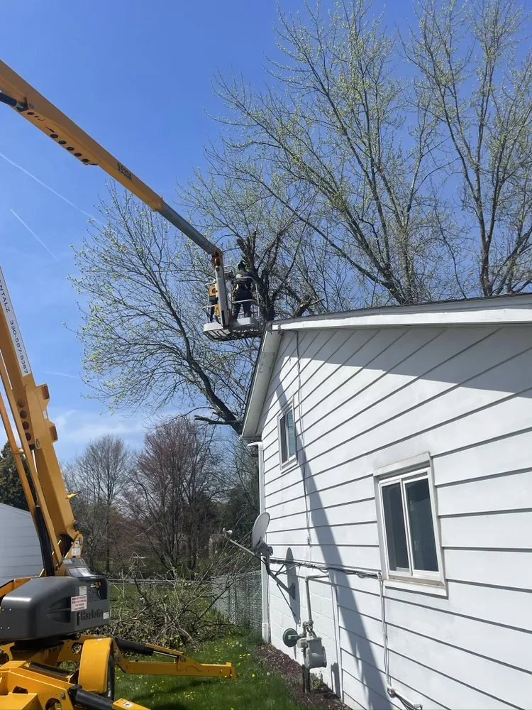 Top-rated landscape installation in North Canton, OH - Kingdom Tree Removal and Land Clearing