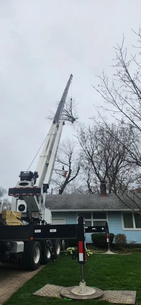 Affordable landscaping services experts serving North Canton, OH - Kingdom Tree Removal and Land Clearing