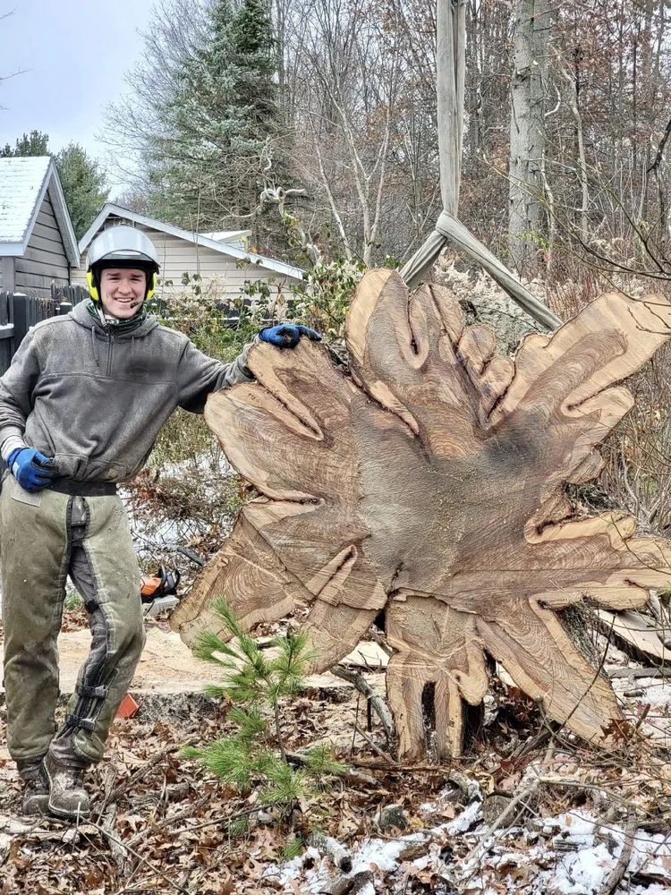 Local outdoor landscaping near you in North Canton, OH by Kingdom Tree Removal and Land Clearing