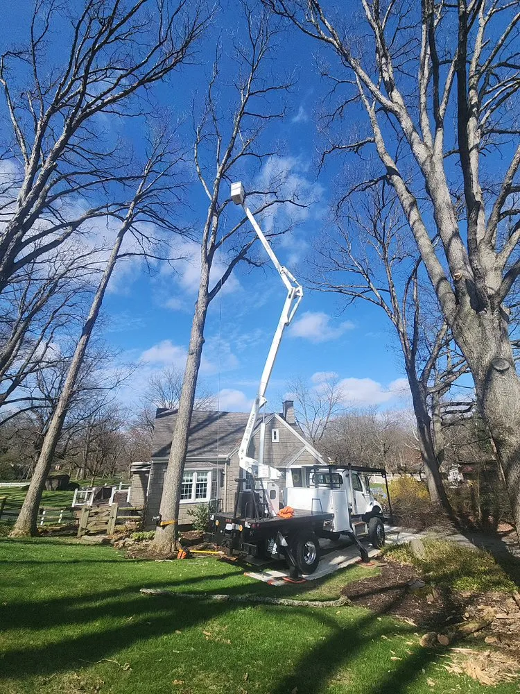 Trusted lawn mowing service for residential properties across North Canton, OH - Kingdom Tree Removal and Land Clearing