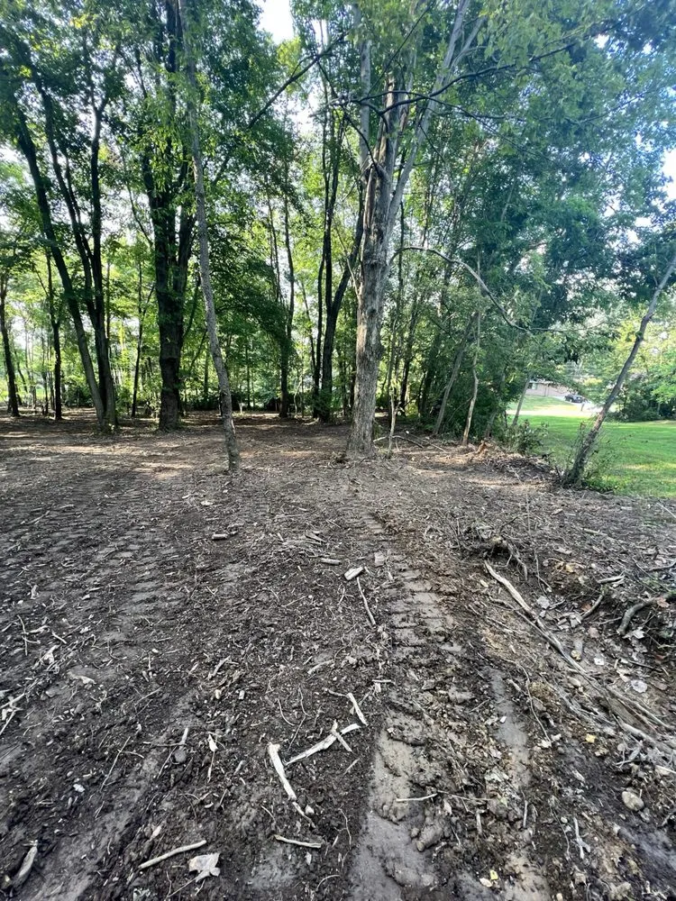 Expert lawn care service for homes in North Canton, OH by Kingdom Tree Removal and Land Clearing