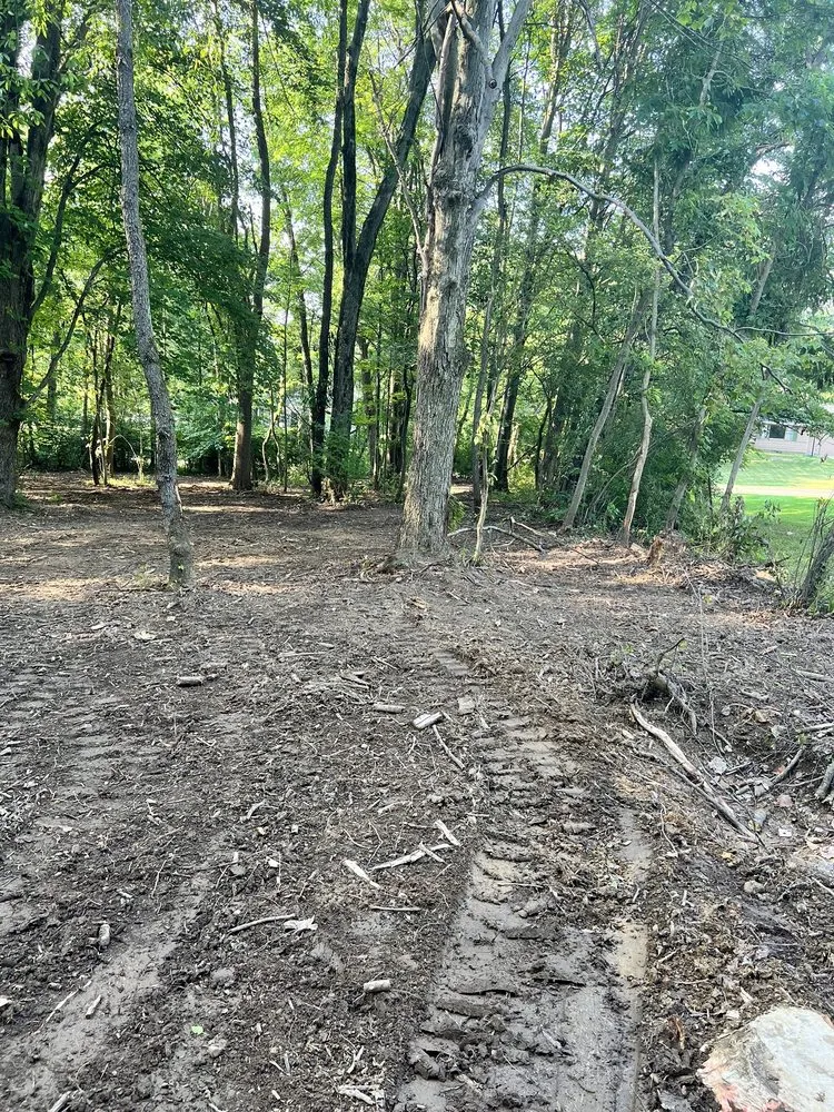 Trusted landscape design for residential properties across North Canton, OH - Kingdom Tree Removal and Land Clearing