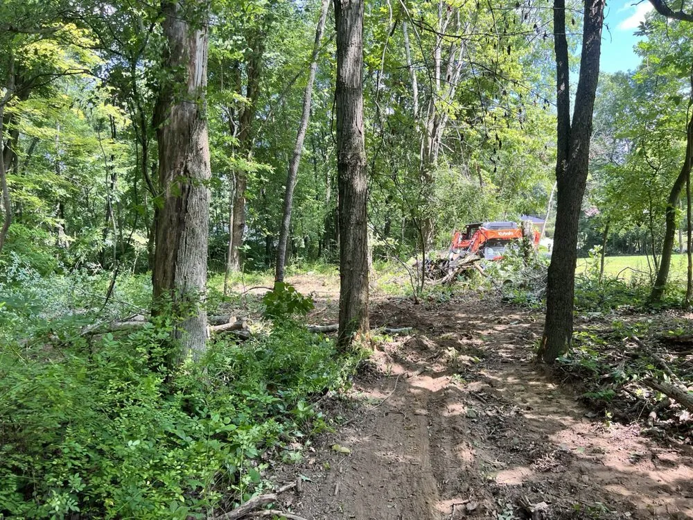 Expert yard maintenance near you across North Canton, OH - Kingdom Tree Removal and Land Clearing
