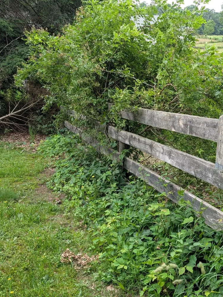 Local landscape installation for homes across North Canton, OH - Kingdom Tree Removal and Land Clearing