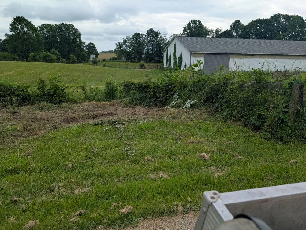 Custom landscaping services in North Canton, OH by Kingdom Tree Removal and Land Clearing