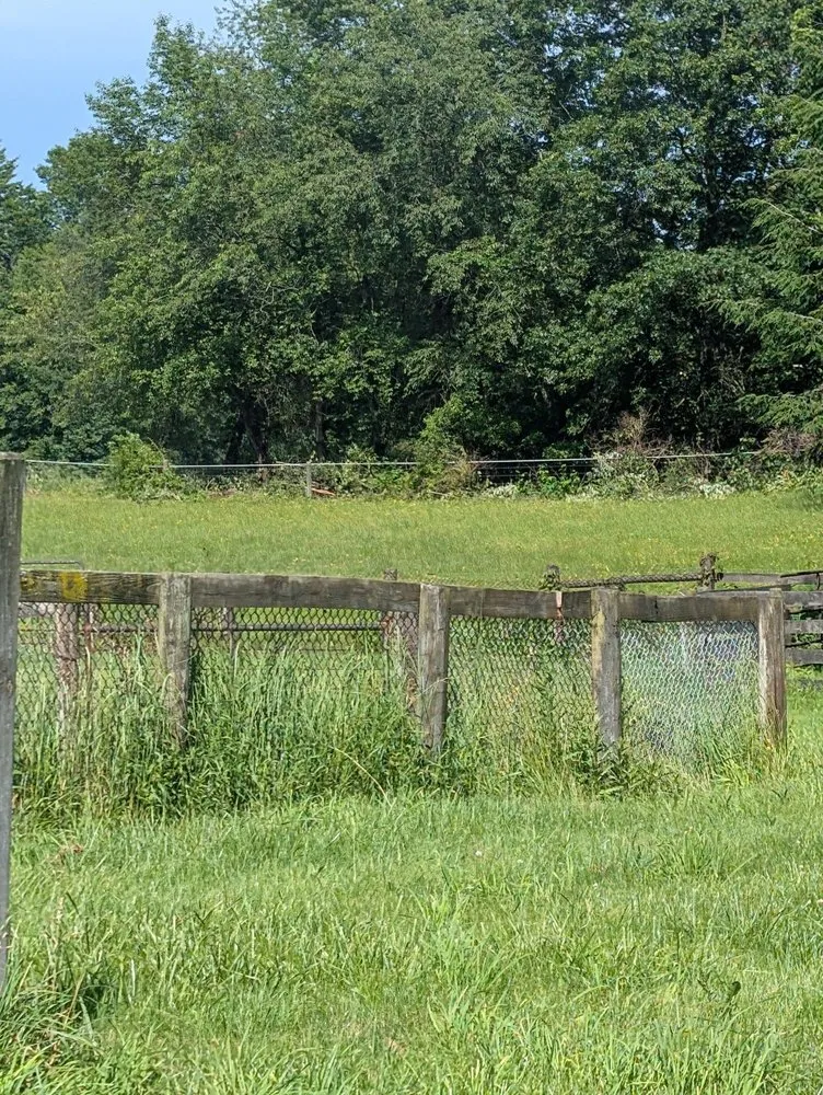 Professional landscape design for year-round maintenance in North Canton, OH by Kingdom Tree Removal and Land Clearing
