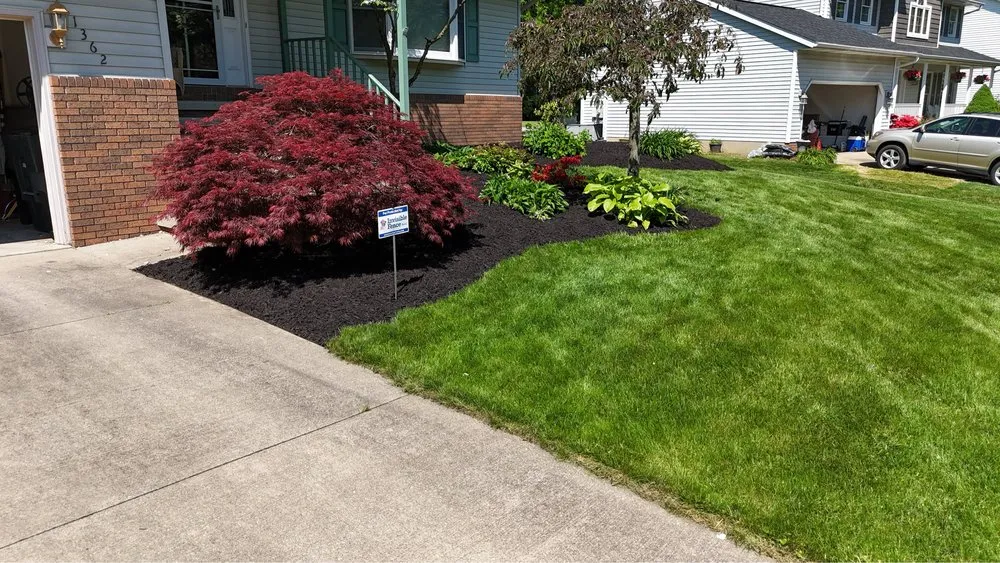 Top-rated yard cleanup service experts serving North Canton, OH - Kingdom Tree Removal and Land Clearing