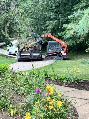 Kingdom Tree Removal and Land Clearing