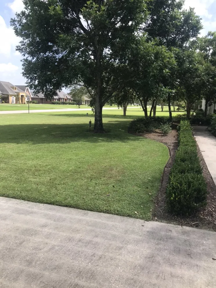 Reliable landscape installation in Houma, LA by Kingdom Way Services