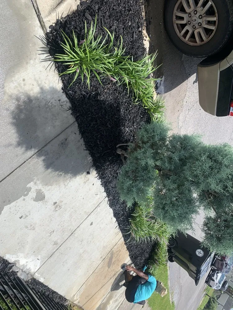 Custom yard cleanup service for year-round maintenance across Chalmette, LA - KingdomCuts Landscaping Maintenance and Lawn care