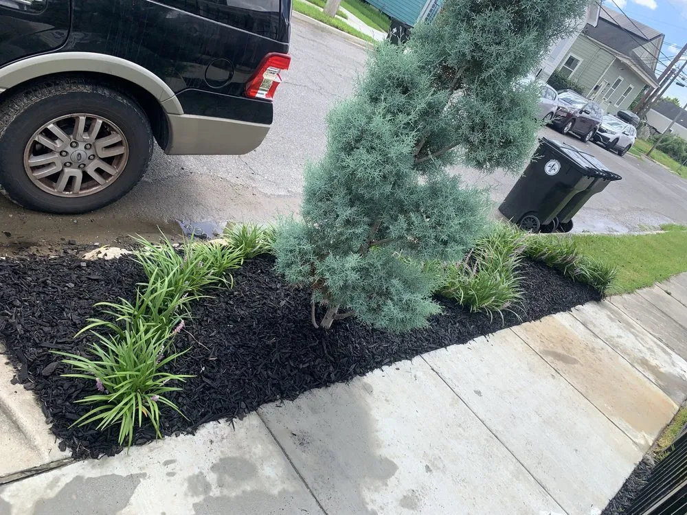 Professional landscape design near you across Chalmette, LA - KingdomCuts Landscaping Maintenance and Lawn care