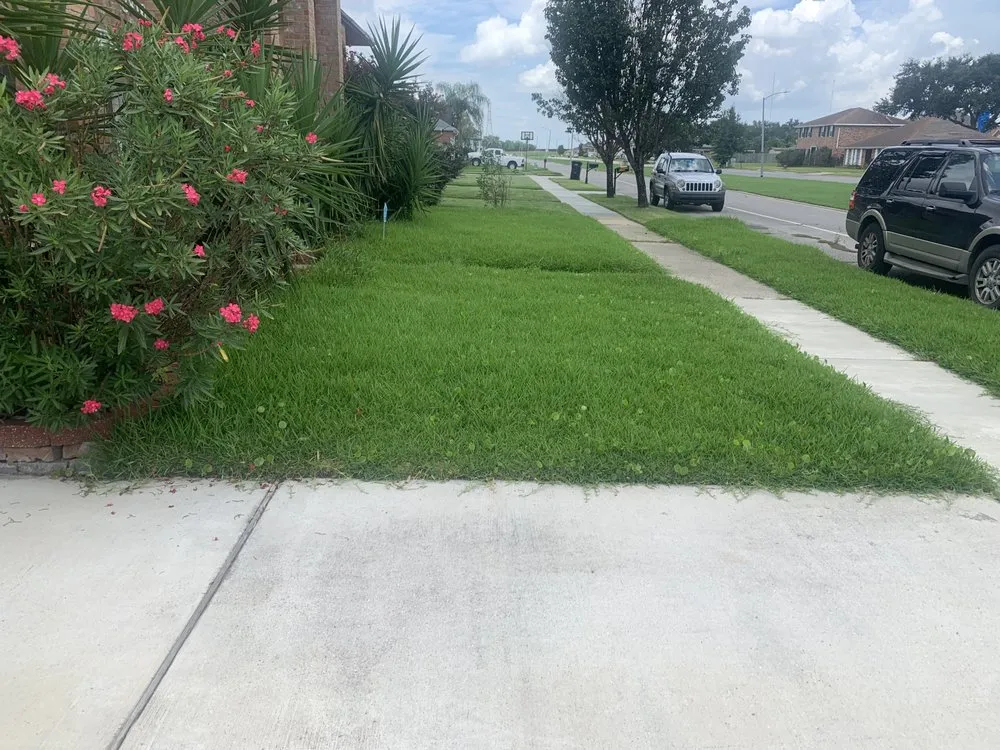 Affordable yard cleanup service for beautiful yards across Chalmette, LA - KingdomCuts Landscaping Maintenance and Lawn care