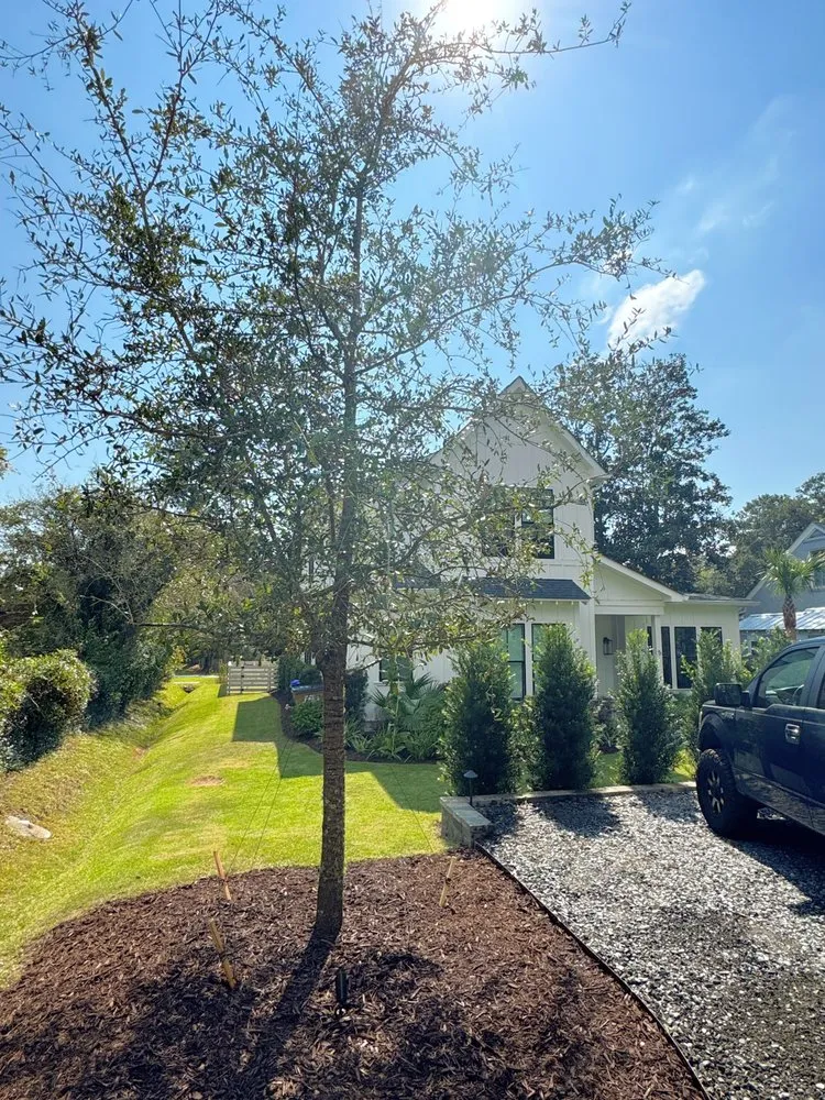 Custom lawn mowing service in Charleston, SC - Kingfisher Exterior Contractors