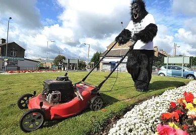 KingKong landscaping Logo