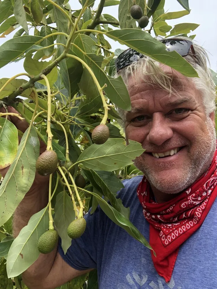 Reliable landscape installation experts serving Vista, CA - Kingmans AvoCitrus