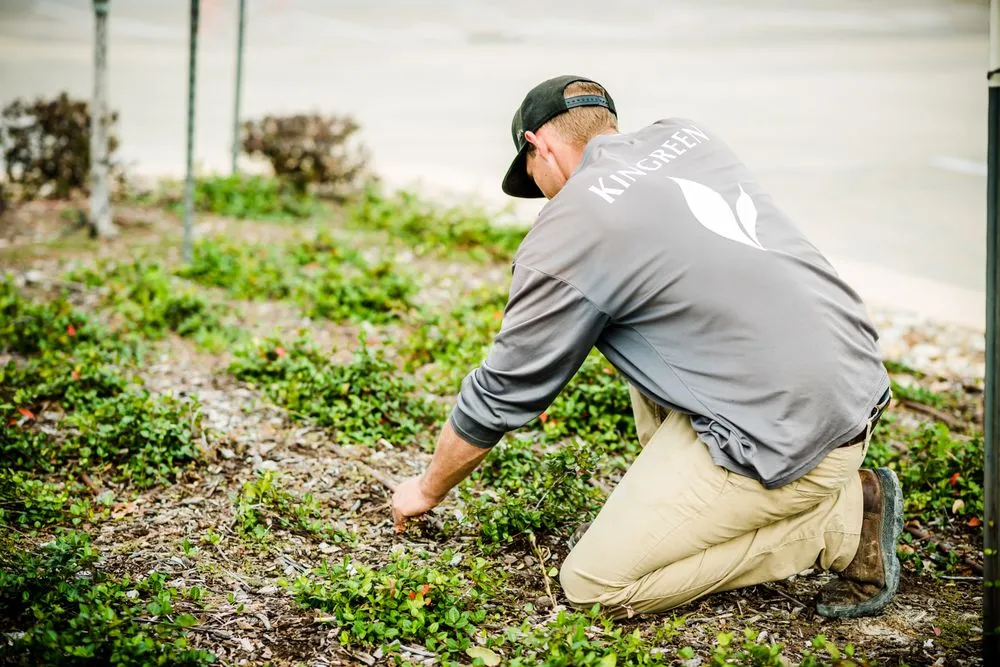 Custom lawn care service near you in Denton, TX by Kingreen Services
