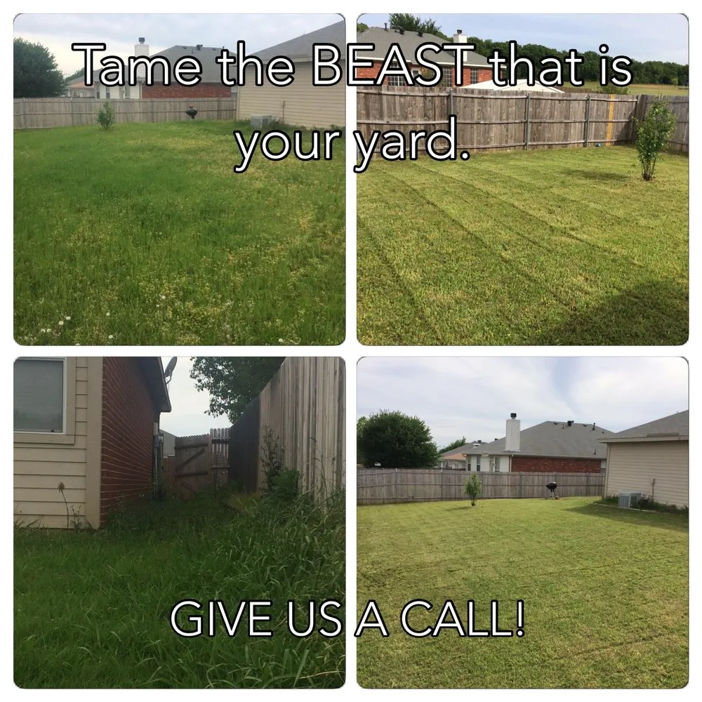 Custom landscaping services in Denton, TX by Kingreen Services